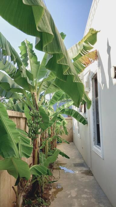 Jambo Villa, Beautiful Private At 2 Minutes From The * Jambiani (Zanzibar)